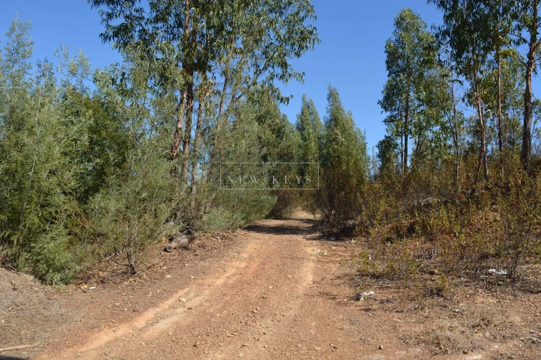 Terreno para Venda em Mexilhoeira Grande Foto 3