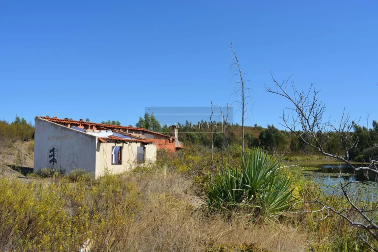 Terreno para Venda em Mexilhoeira Grande Foto 5