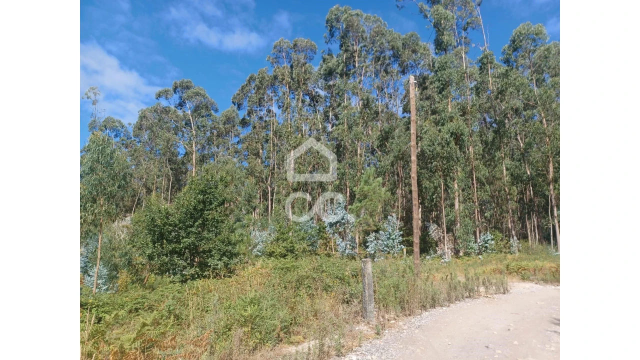 Terreno para Venda em Vale (São Cosme), Telhado e Portela Foto 2