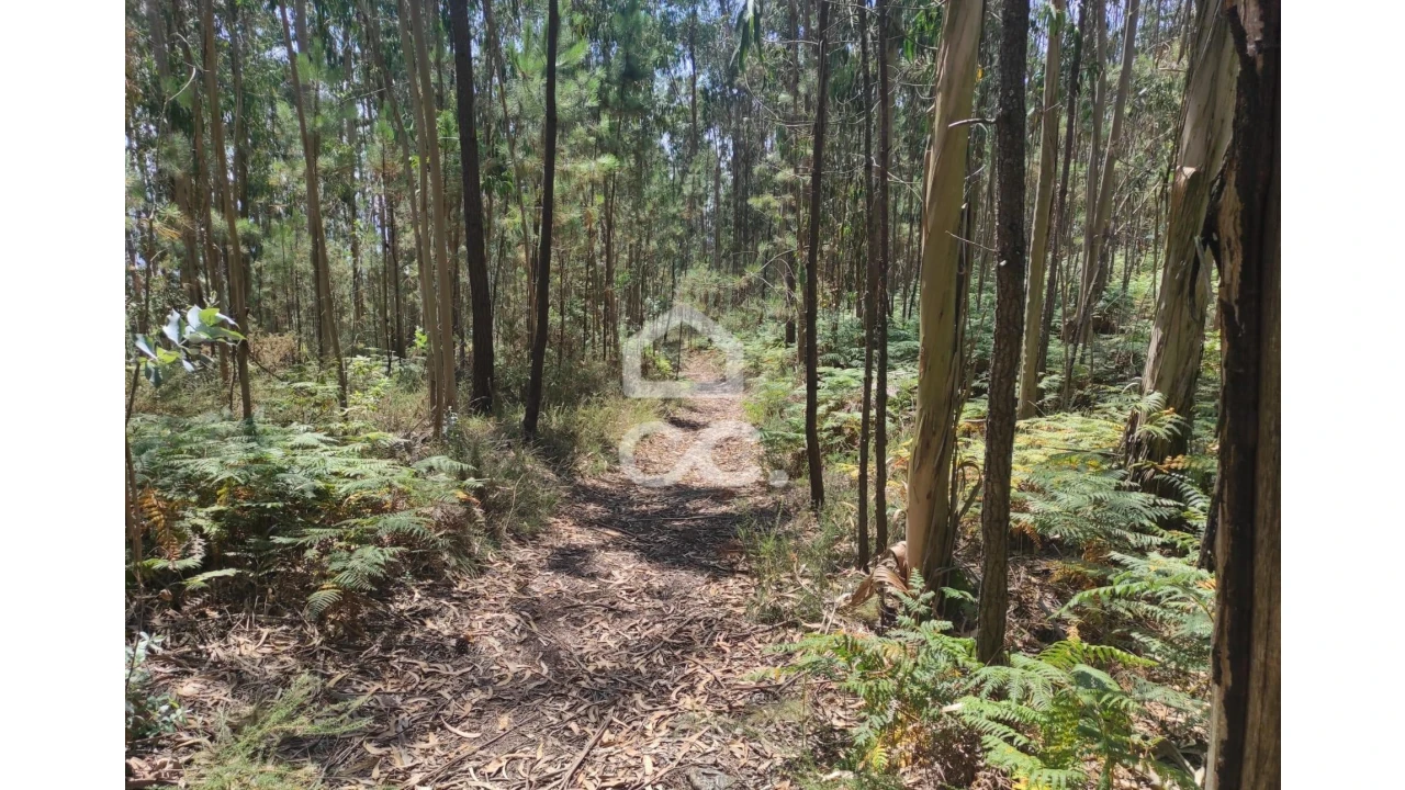 Terreno para Venda em Vale (São Cosme), Telhado e Portela Foto 3