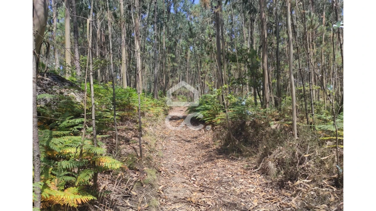 Terreno para Venda em Vale (São Cosme), Telhado e Portela Foto 14