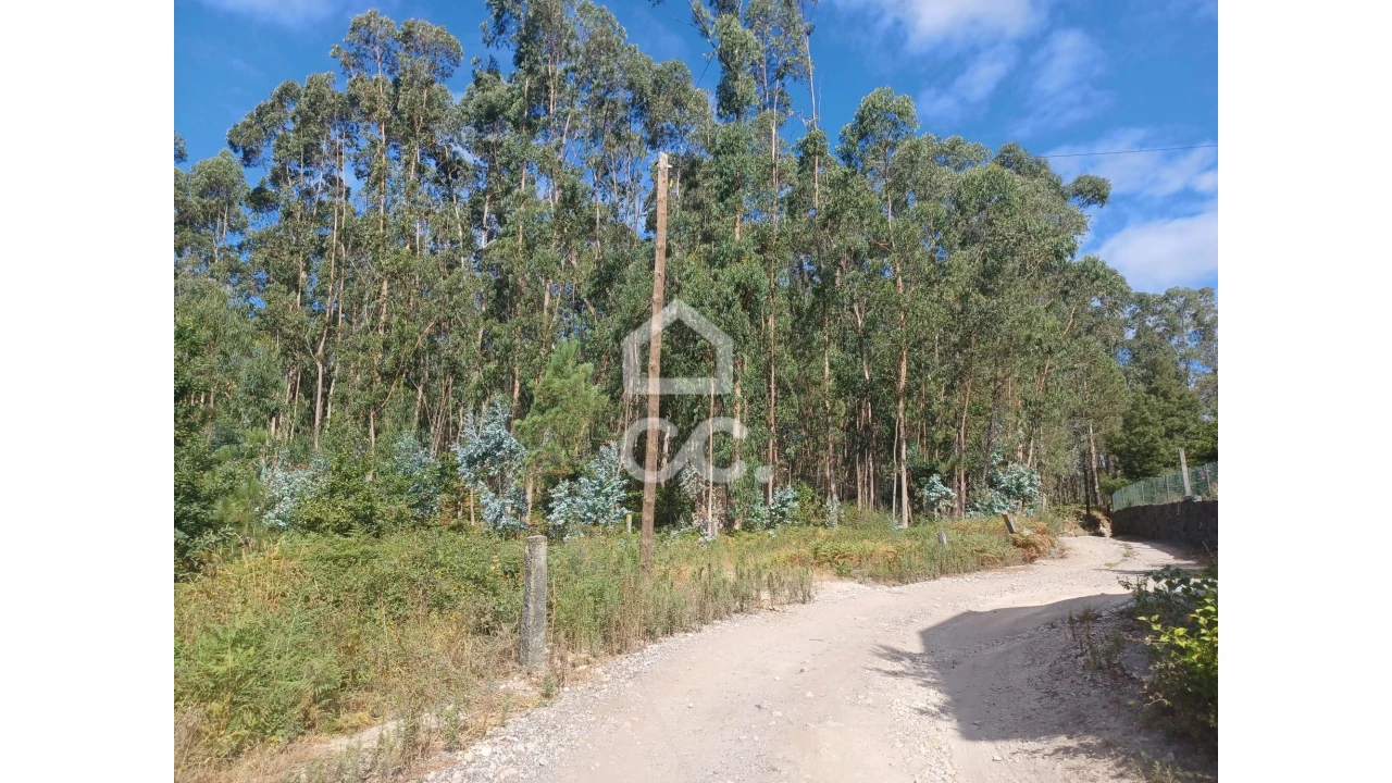 Terreno para Venda em Vale (São Cosme), Telhado e Portela Foto 5