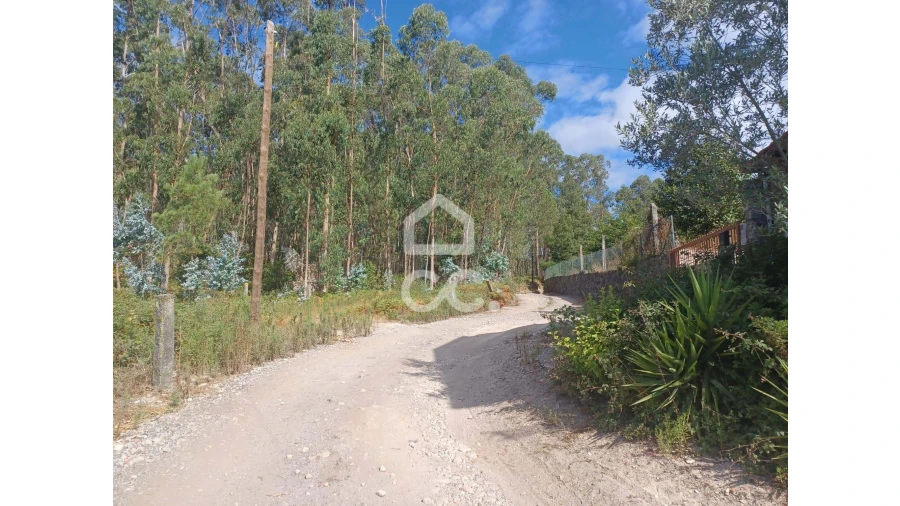 Terreno para Venda em Vale (São Cosme), Telhado e Portela Foto 1