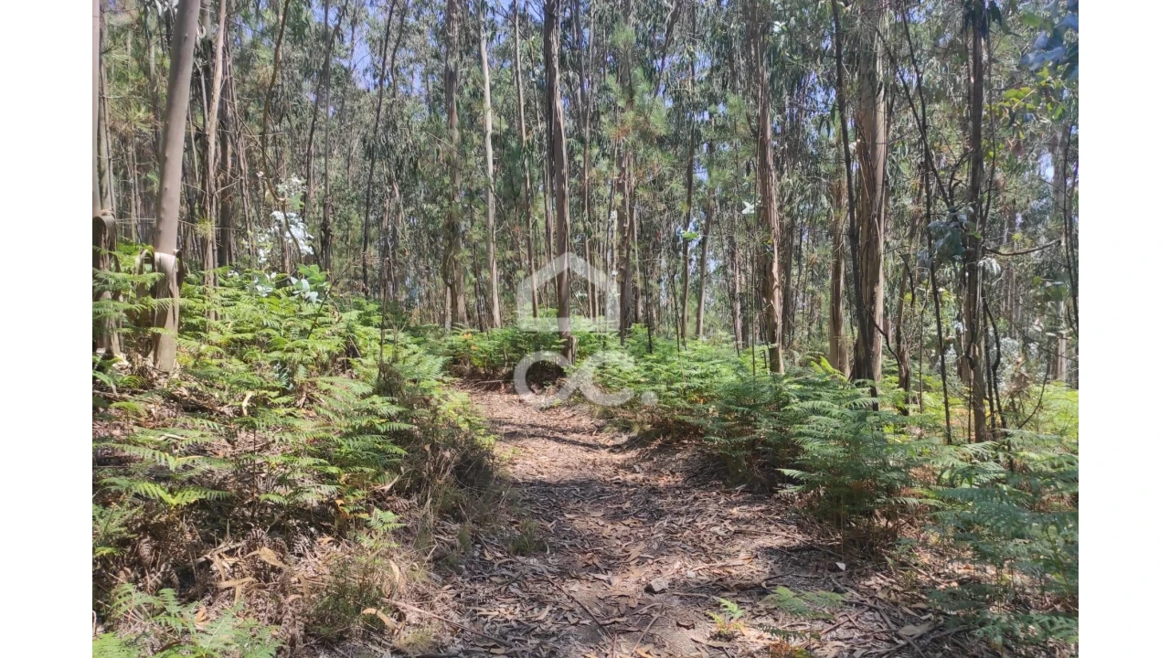Terreno para Venda em Vale (São Cosme), Telhado e Portela Foto 4