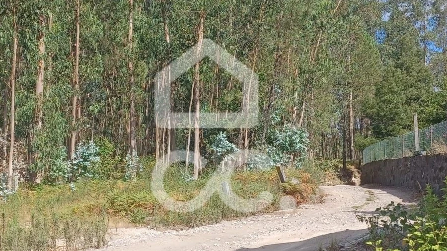 Terreno para Venda em Vale (São Cosme), Telhado e Portela