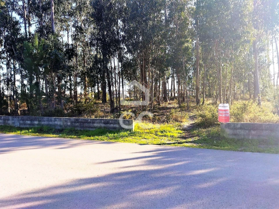 Terreno para Venda em Vieira de Leiria Foto 2