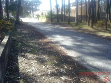 Terreno para Venda em Vieira de Leiria