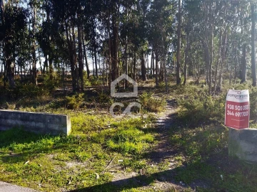 Terreno para Venda em Vieira de Leiria