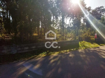 Terreno para Venda em Vieira de Leiria