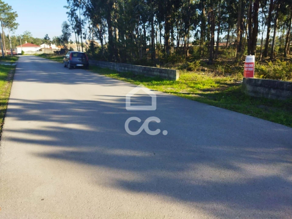 Terreno para Venda em Vieira de Leiria Foto 1