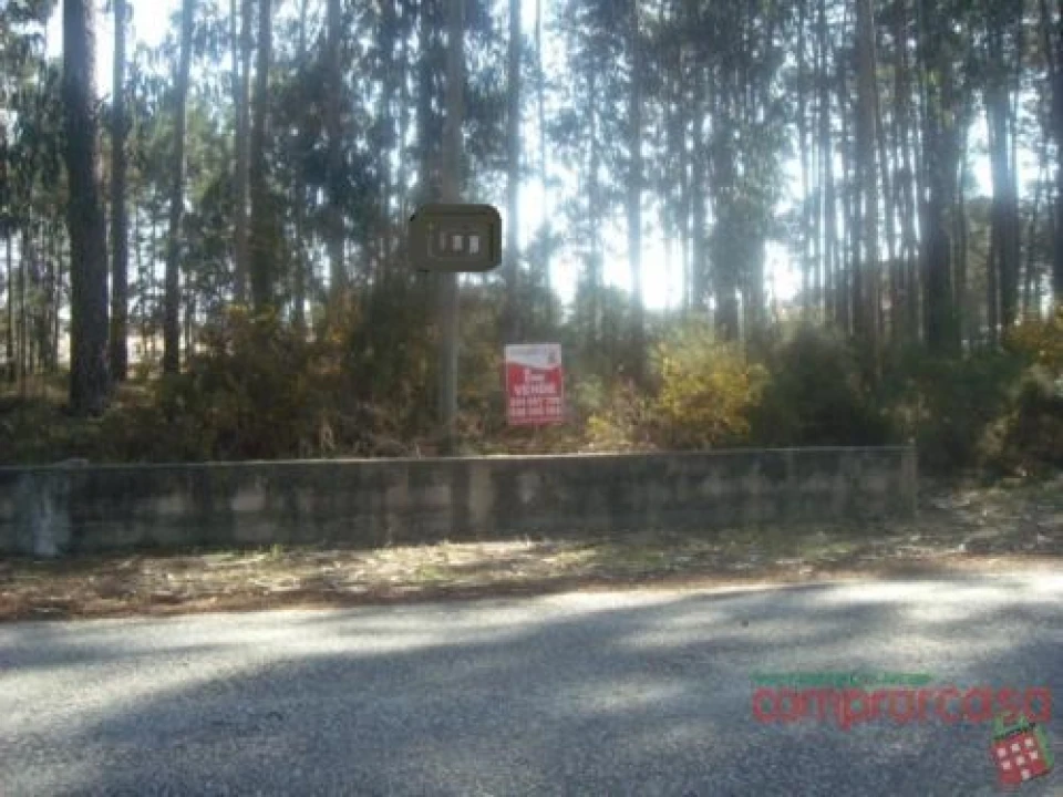 Terreno para Venda em Vieira de Leiria Foto 6
