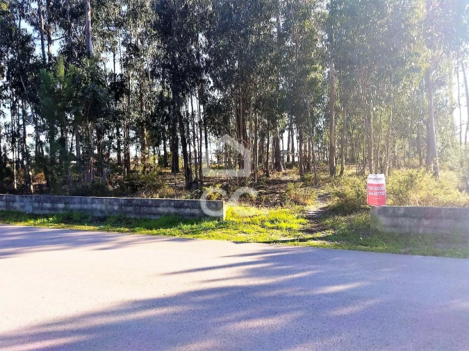 Terreno para Venda em Vieira de Leiria Foto 2