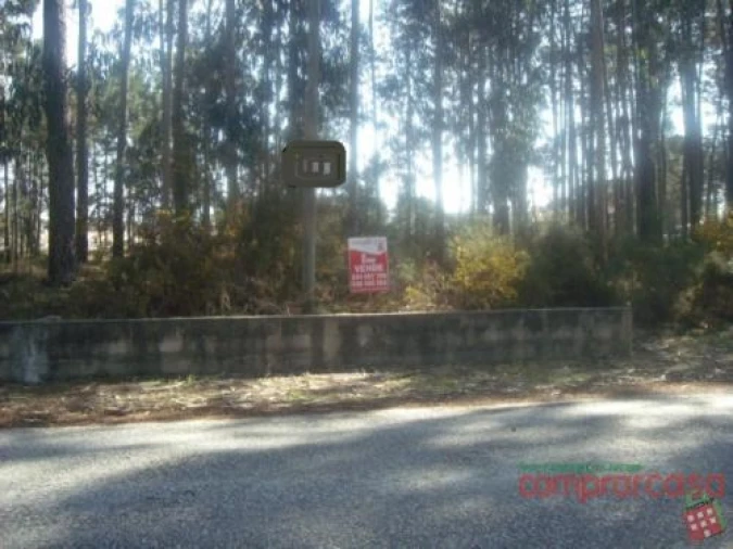Terreno para Venda em Vieira de Leiria Foto 6
