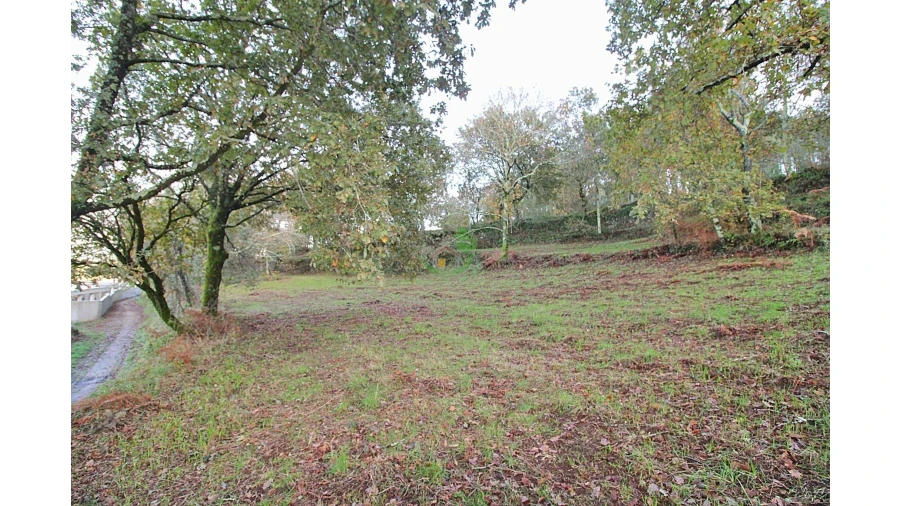 Terreno para Venda em Garfe Foto 2