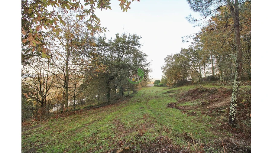 Terreno para Venda em Garfe Foto 5