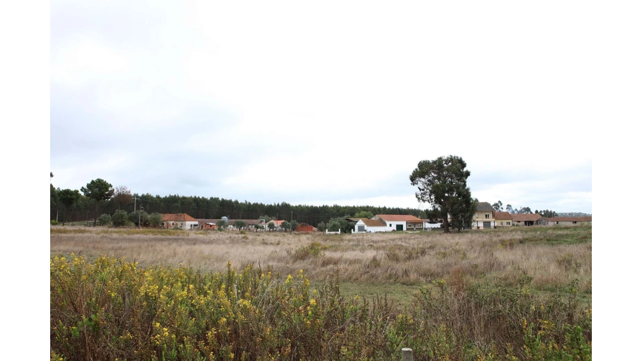 Terreno para Venda em Arrouquelas Foto 20