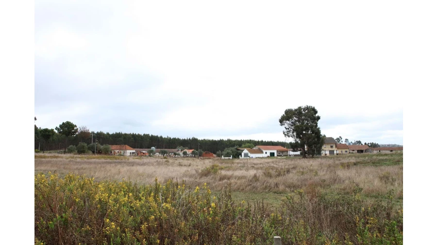 Terreno para Venda em Arrouquelas Foto 20