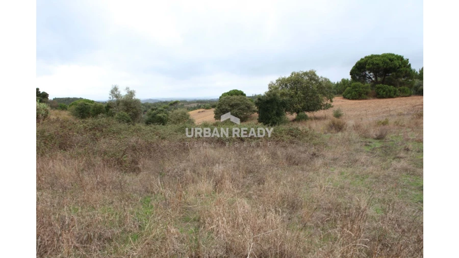 Terreno para Venda em Arrouquelas Foto 3