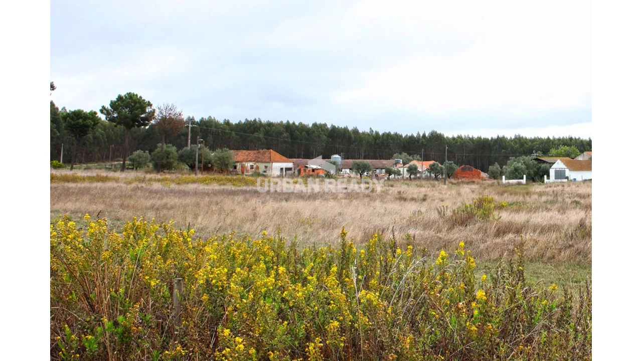 Terreno para Venda em Arrouquelas Foto 22