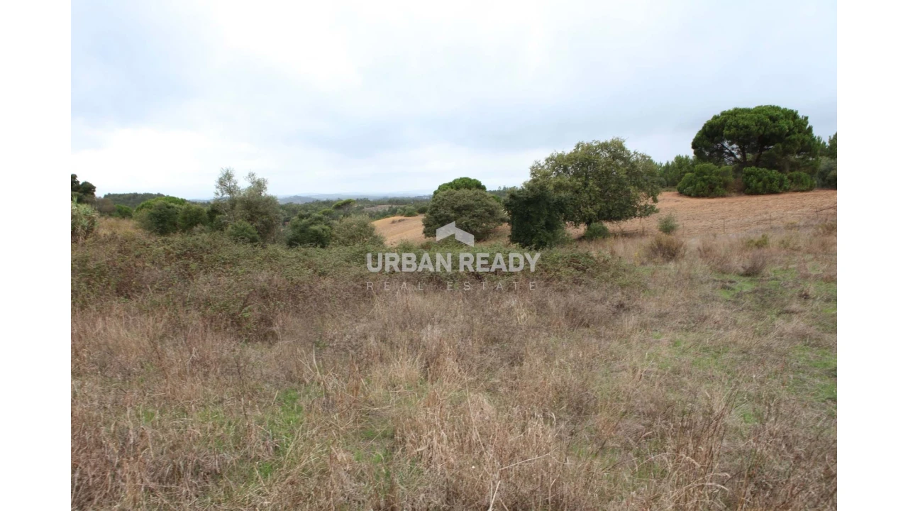 Terreno para Venda em Arrouquelas Foto 3