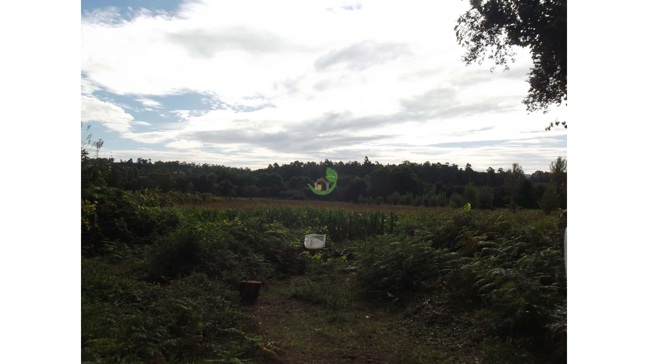 Terreno para Venda em Loureira Foto 2