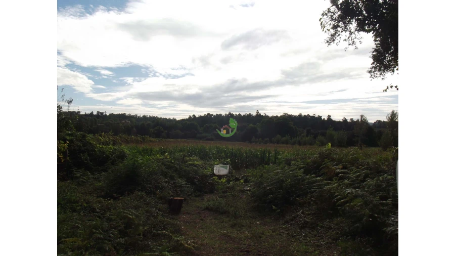 Terreno para Venda em Loureira Foto 2