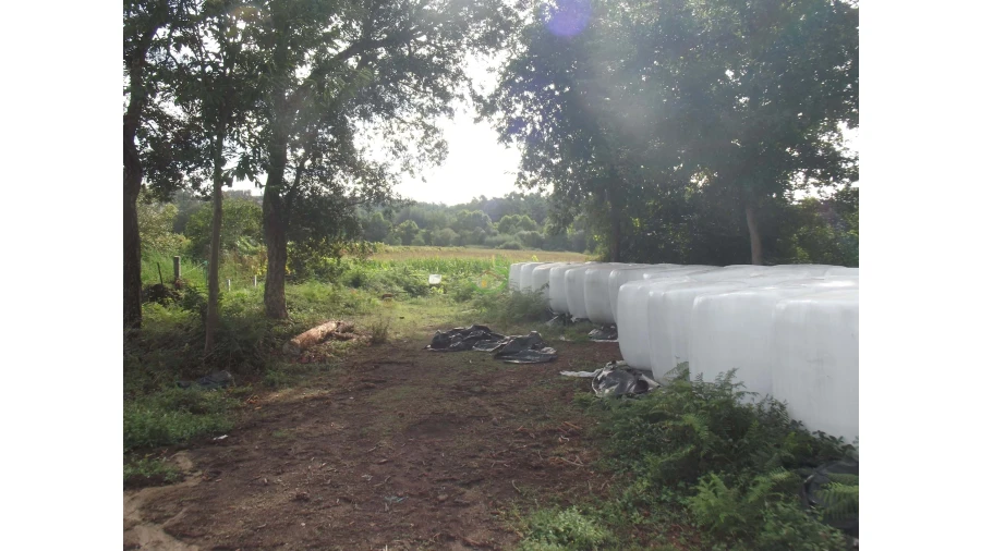 Terreno para Venda em Loureira