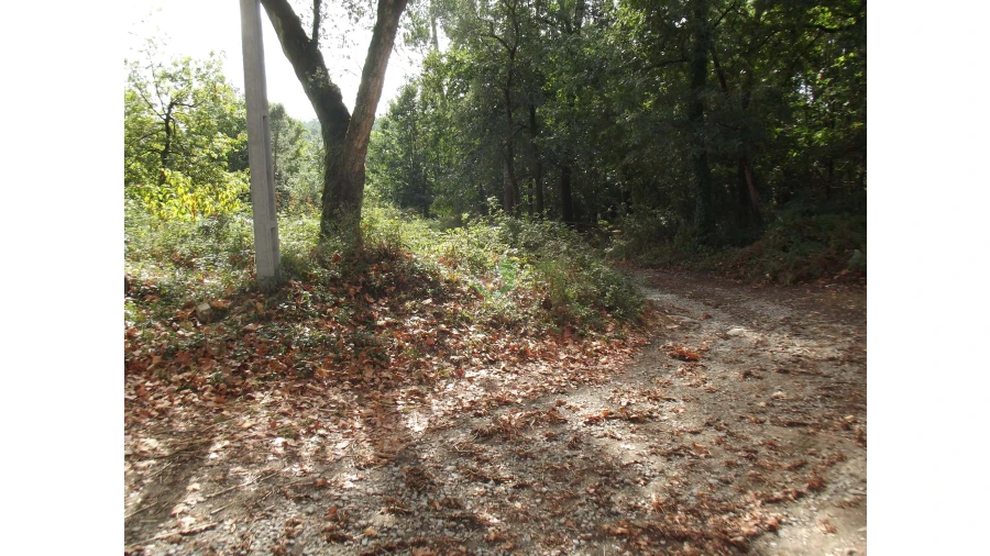 Terreno para Venda em Loureira Foto 6