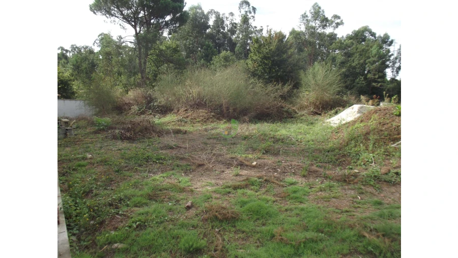Terreno para Venda em Loureira Foto 8