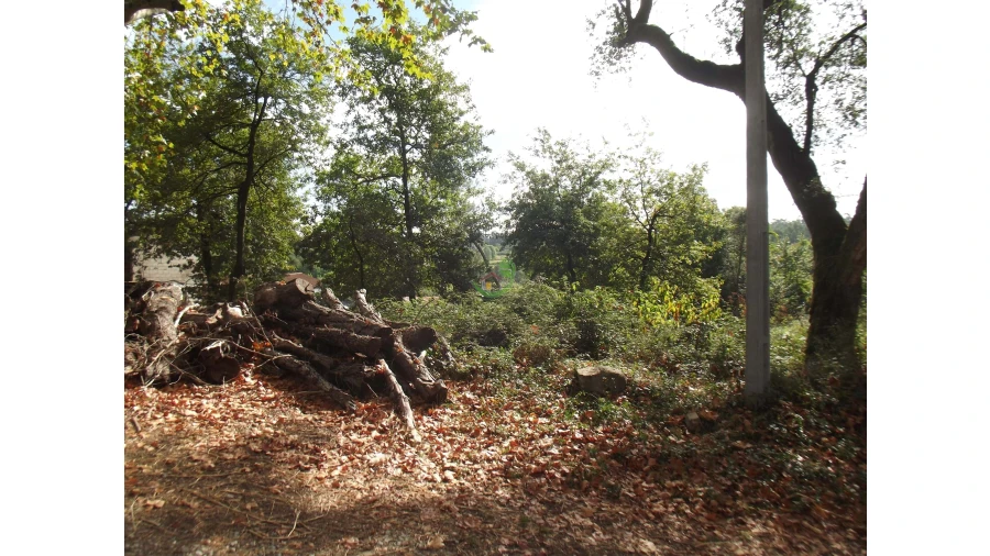 Terreno para Venda em Loureira Foto 5