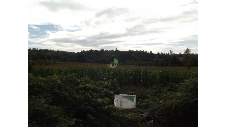 Terreno para Venda em Loureira Foto 3