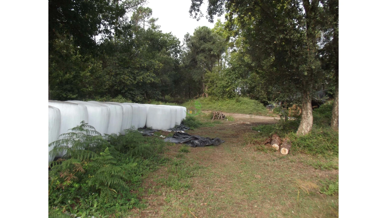 Terreno para Venda em Loureira Foto 4