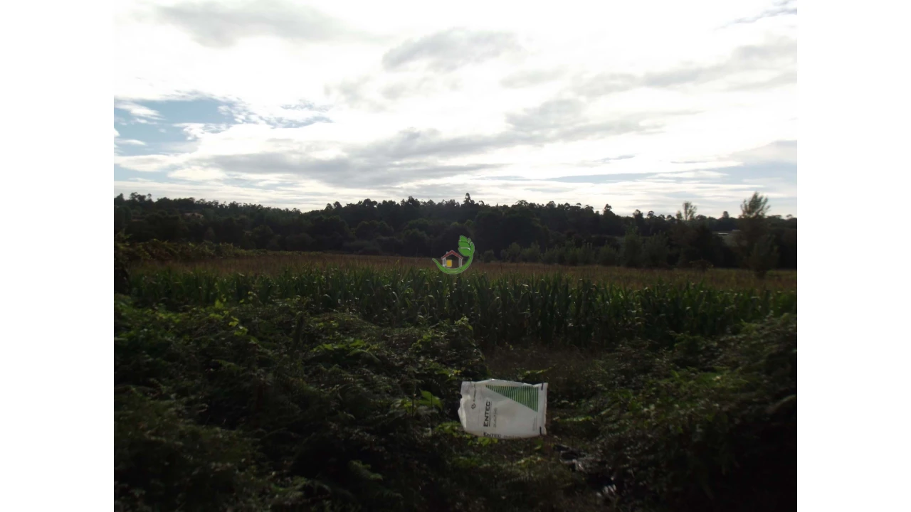 Terreno para Venda em Loureira Foto 3