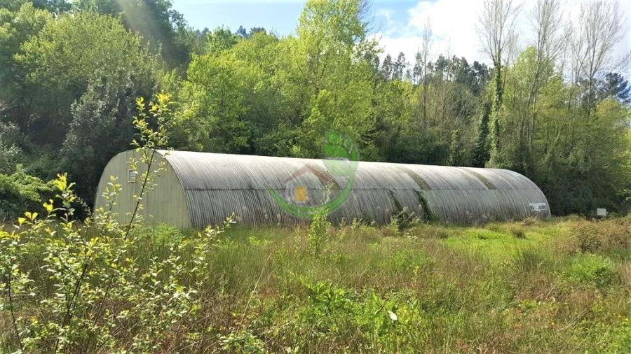 Terreno para Venda em Caldelas, Sequeiros e Paranhos Foto 3