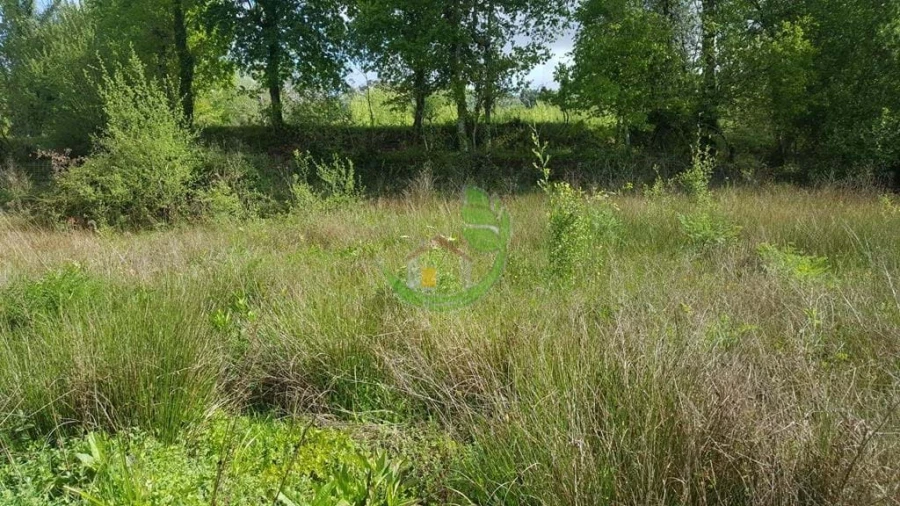 Terreno para Venda em Caldelas, Sequeiros e Paranhos Foto 4