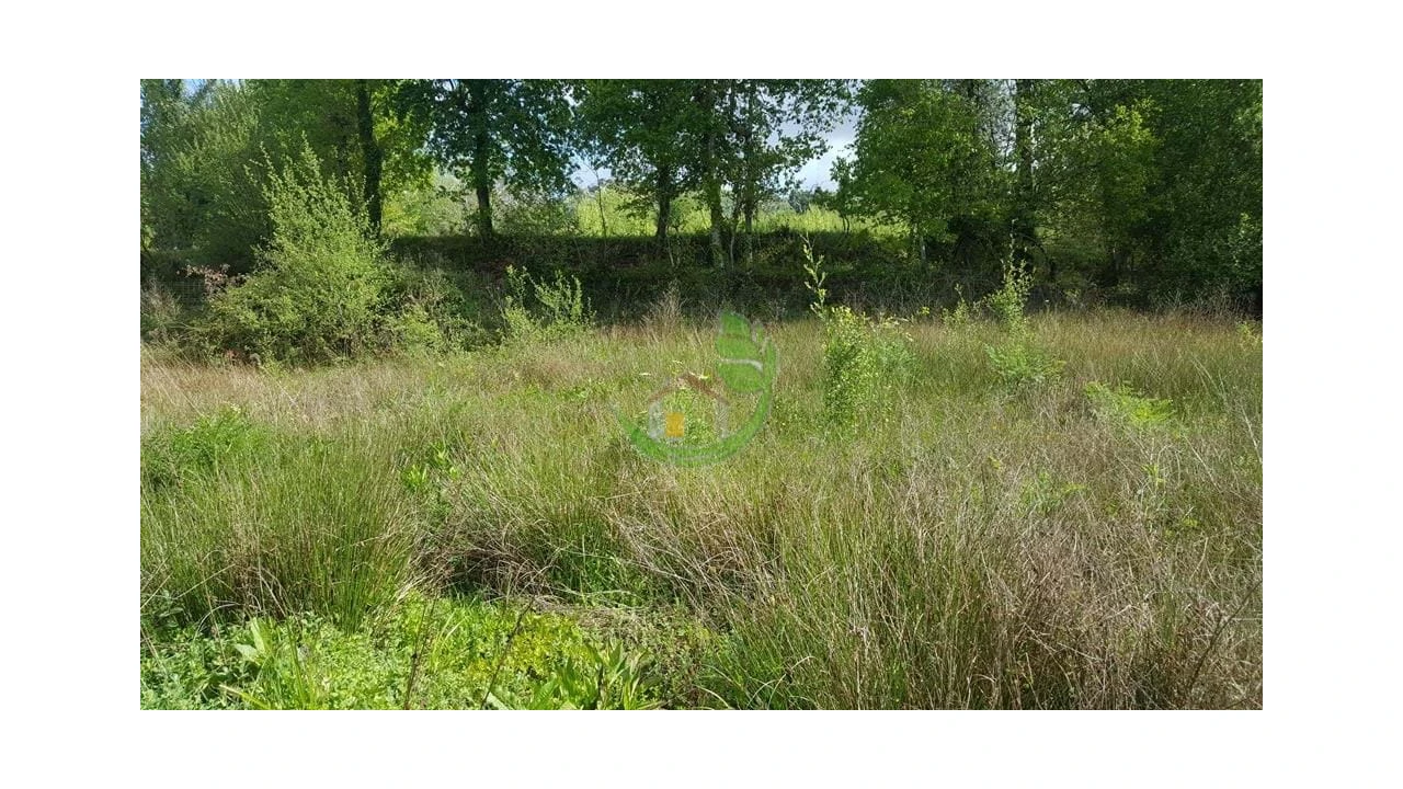 Terreno para Venda em Caldelas, Sequeiros e Paranhos Foto 4