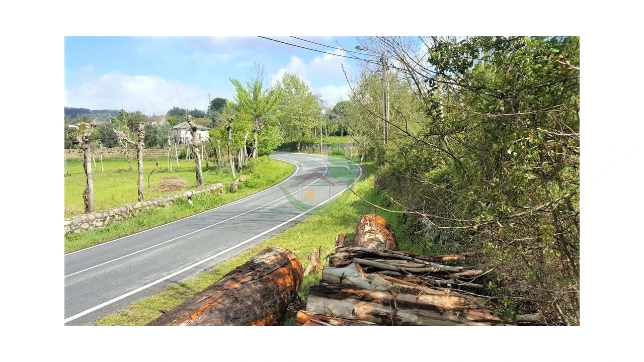 Terreno para Venda em Caldelas, Sequeiros e Paranhos Foto 6