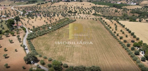 Terreno para Venda em Marvila, Ribeira Santarém, São Salvador, São Nicolau
