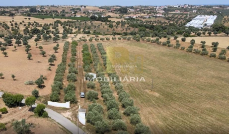 Terreno para Venda em Marvila, Ribeira Santarém, São Salvador, São Nicolau