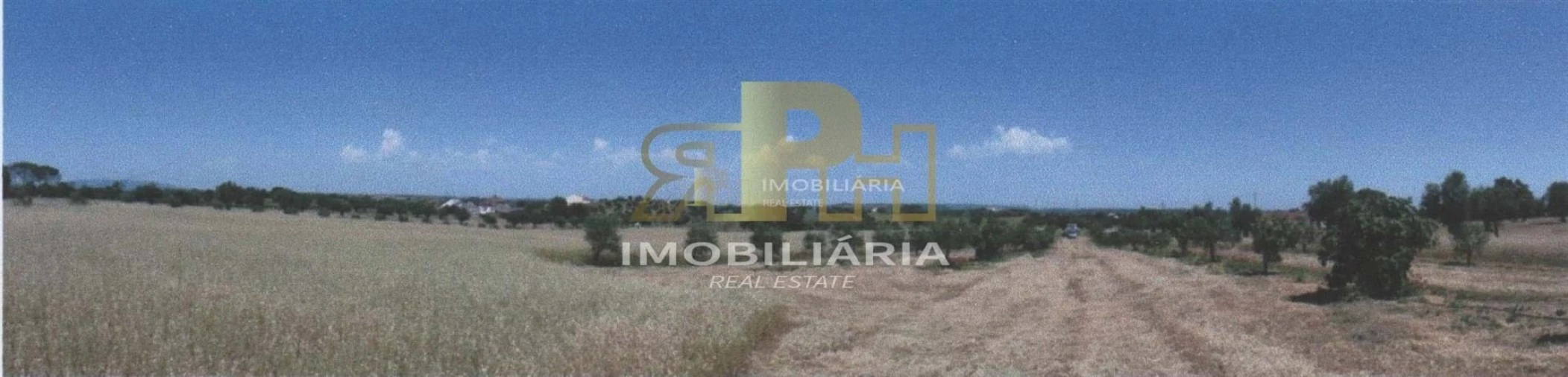 Terreno para Venda em Marvila, Ribeira Santarém, São Salvador, São Nicolau Foto 4