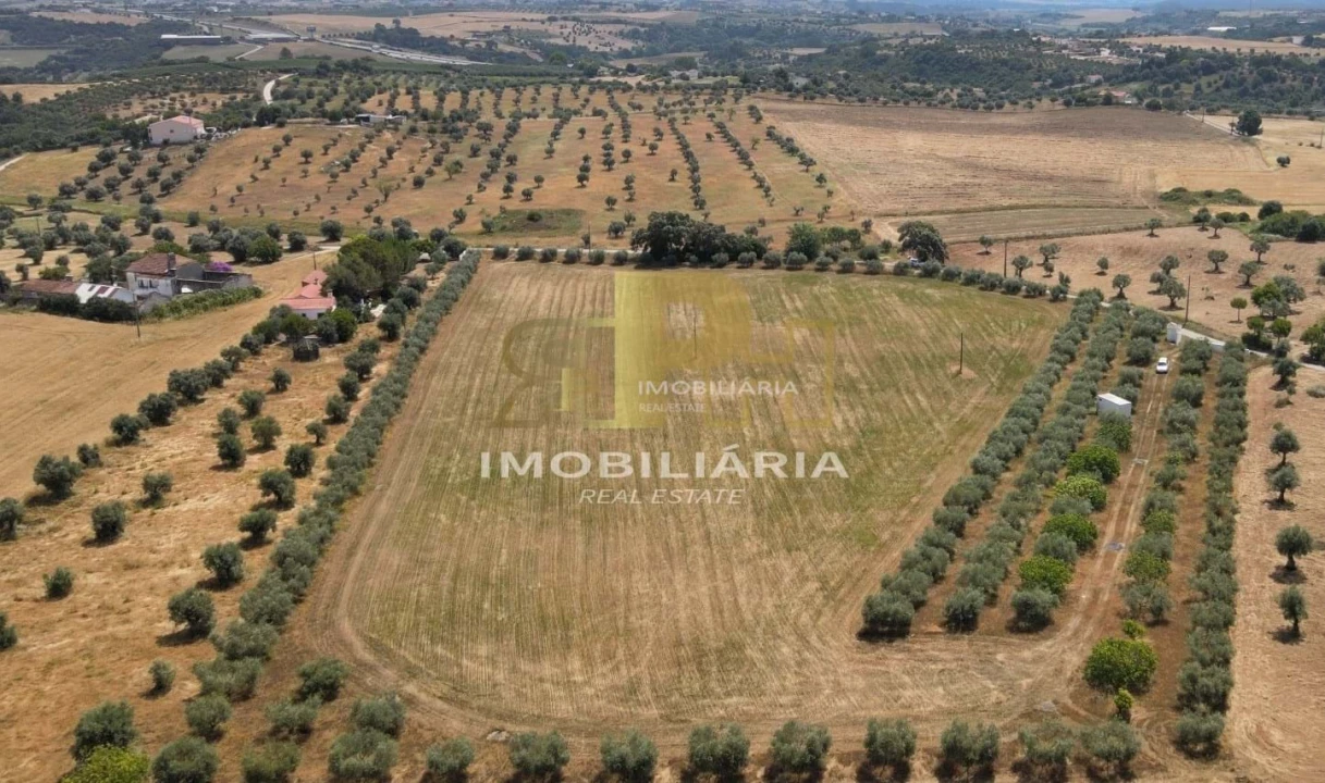 Terreno para Venda em Marvila, Ribeira Santarém, São Salvador, São Nicolau Foto 1