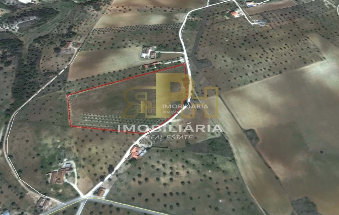 Terreno para Venda em Marvila, Ribeira Santarém, São Salvador, São Nicolau Foto 5