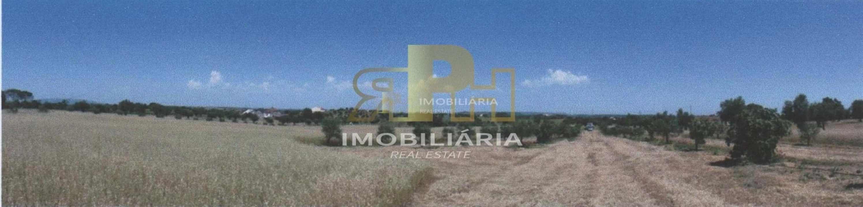 Terreno para Venda em Marvila, Ribeira Santarém, São Salvador, São Nicolau Foto 4