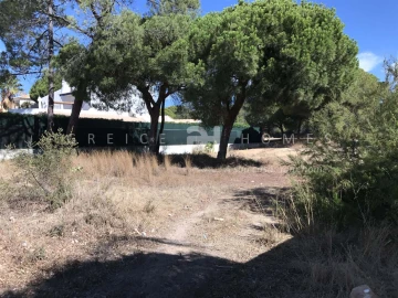 Terreno para Venda em Almancil