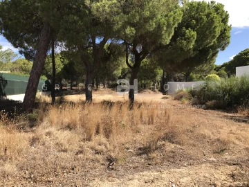 Terreno para Venda em Almancil