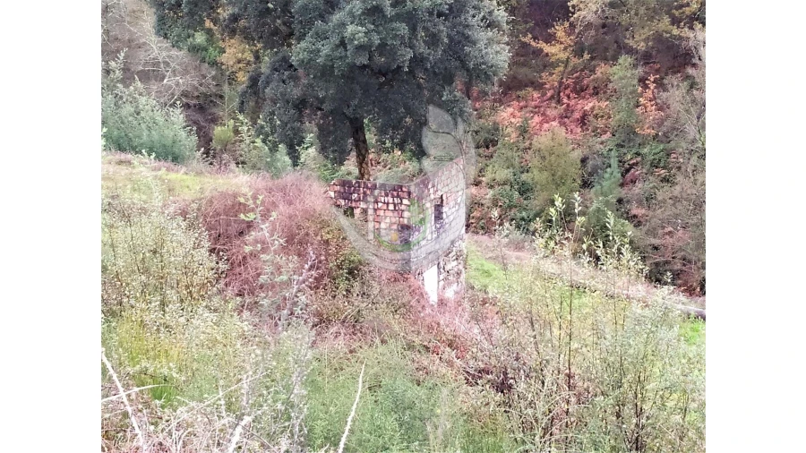 Terreno para Venda em Rebordões (Souto) Foto 6