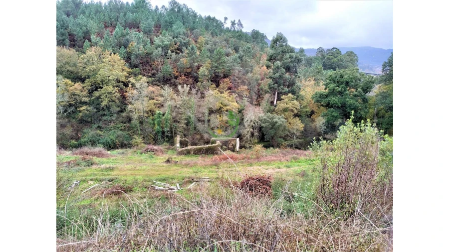 Terreno para Venda em Rebordões (Souto) Foto 3