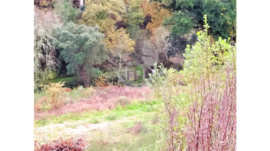 Terreno para Venda em Rebordões (Souto) Foto 4