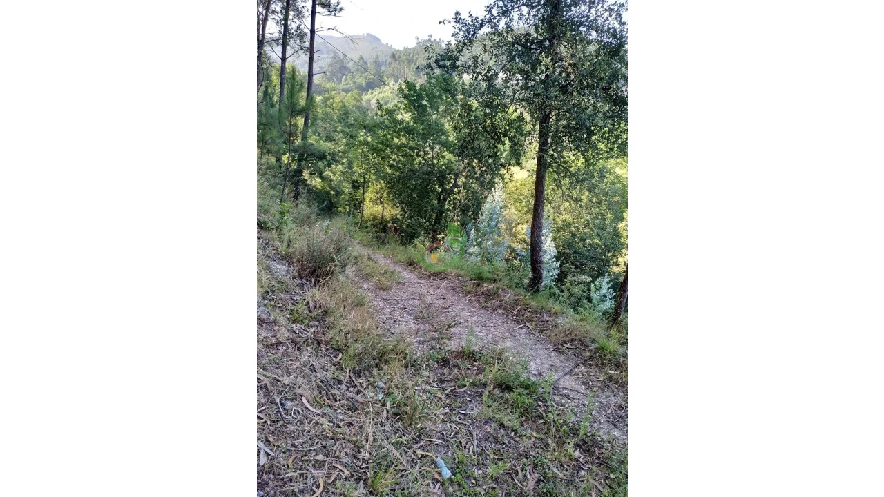 Terreno para Venda em Valbom (São Pedro), Passô e Valbom (São Martinho) Foto 4
