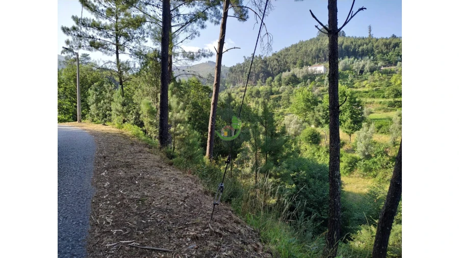 Terreno para Venda em Valbom (São Pedro), Passô e Valbom (São Martinho) Foto 2